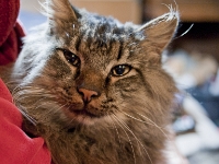 Lisa and Hermes night DS couch P2030451  Lisa holds Hermes